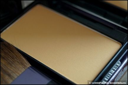 Shiseido luminizing satin face color в відтінках wt905, be206 відгуки