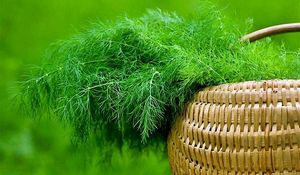 Шум в правому вусі причини і лікування, лікування вуха (немовляти Заложенность) Шум в правому вусі причини і лікування, лікування вуха