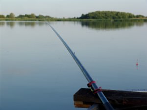 Уловисті снасті для лову сазана своїми руками на макуху