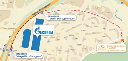 Ветеринарна клініка (ветклиника) «медвет» на проспекті Вернадського (клініка) Ветеринарна клініка (ветклиника) «медвет» на проспекті Вернадського