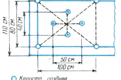 Вирощування пекінської капусти любаша агротехніка