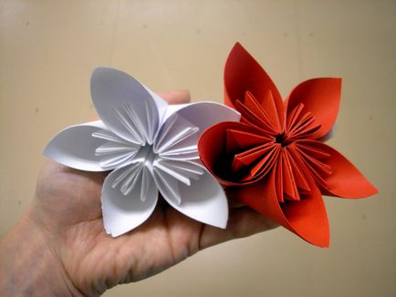 Цвете стъпка оригами хартия по стъпка ръководство за начинаещи, фото и видео  семинари