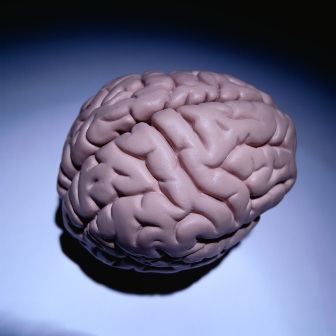 21 O modalitate eficientă de a zdruncina creierul, vuztest