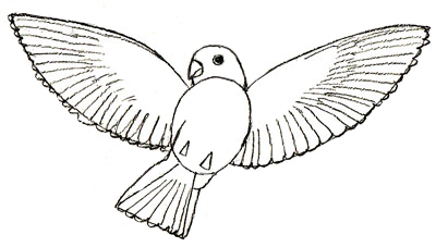 Cum să atragă păsări, creion de desen pasăre