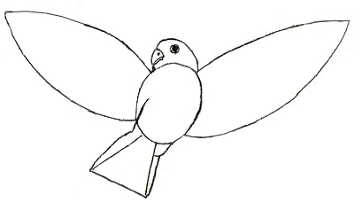 Cum să atragă păsări, creion de desen pasăre