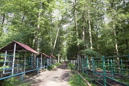 Резерв под оку