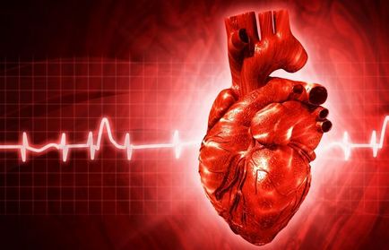 szív egészsége szórakoztató tény