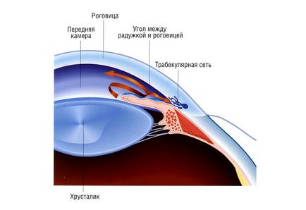 Hogyan kezelésére a nyílt zugú glaukóma, a szem betegség mintegy