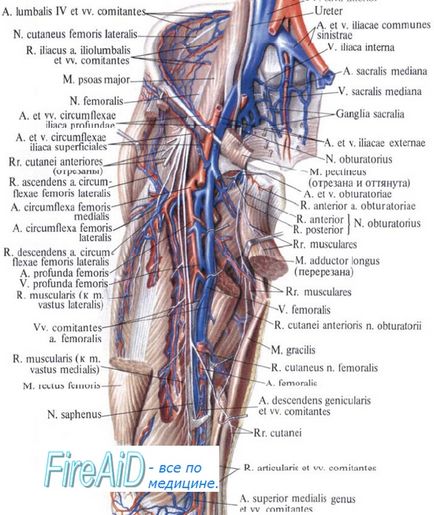 neuropatia nervului obturator