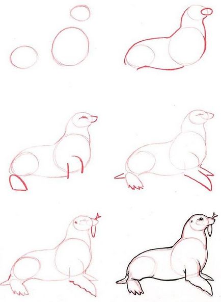 desene in creion de animale pentru incepatori pas cu pas