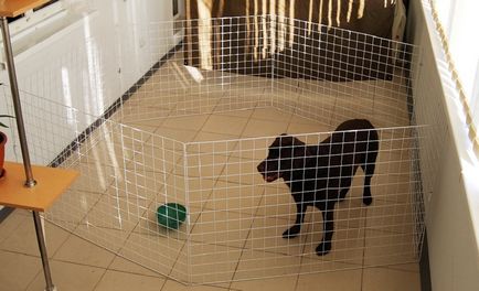 Начало клетка за куче в апартамент