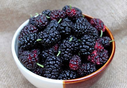 mulberry a cukorbetegség kezelésében)