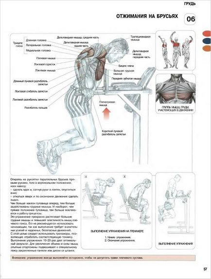 ���������� 10�� ���� ����: ����.