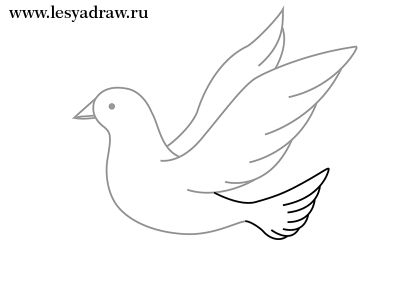 Cum să atragă un porumbel de pace în etape creion - lectii de desen - utile  cu privire