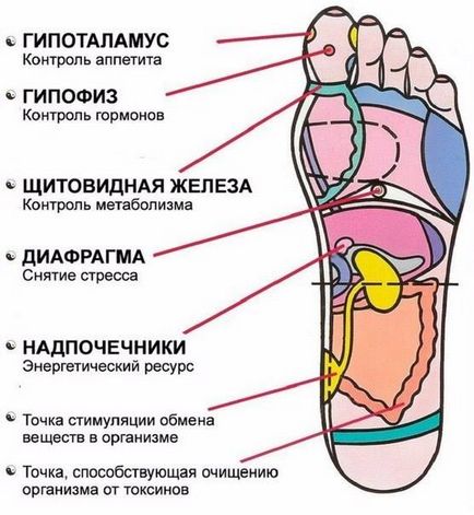 7 активните точки на стъпалото, които трябва да знаете