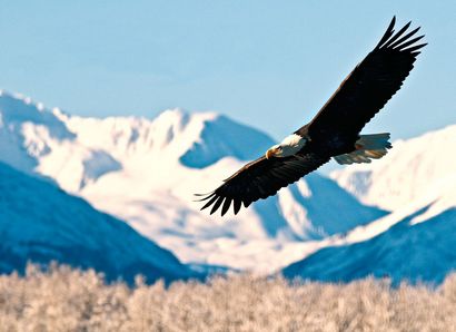 2018 Alaska Quilt Cruise (2018) 2018 Alaska Quilt Croisière