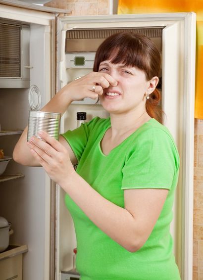 5 remèdes naturels pour désodoriser Réfrigérateur - Idées de vie vert (naturel) 5 remèdes naturels pour désodoriser Réfrigérateur - Idées de Green Living