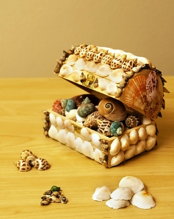 6 Sensational Seashell Artisanat à faire avec vos enfants Mes enfants - Adventures () Seashells 6 Sensational Seashell Artisanat à faire avec vos enfants Mes enfants - Adventures