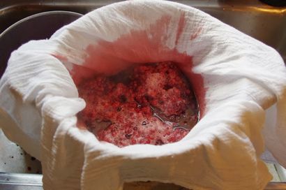 Américain Grouch Pin cerise Jelly (râleur) Américain Grouch Pin cerise Jelly