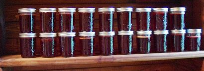 Américain Grouch Pin cerise Jelly (râleur) Américain Grouch Pin cerise Jelly