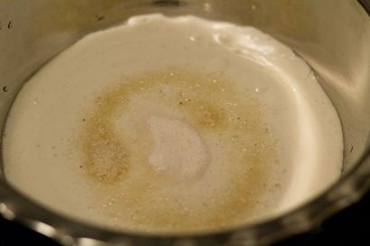 recette Appam avec de la levure, à la façon de faire appam avec des levures (pour la pâte à appam) Appam recette avec de la levure, comment faire appam avec des levures