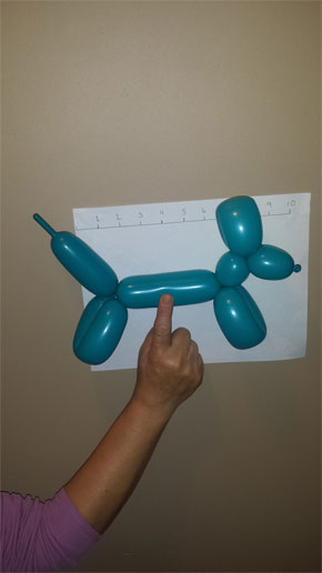 Sculptures de ballons dans la pratique dentaire Comment faire un chien de ballon à trois torsion (trois torsion) Sculptures de ballons dans la pratique dentaire Comment faire un chien de ballon à trois torsion