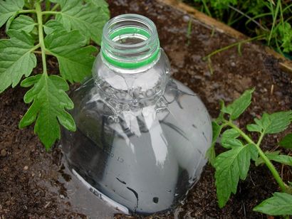 Bouteille d'irrigation goutte à goutte - Provident Living (chargeur goutte à goutte usine comment faire) Bouteille d'irrigation goutte à goutte - Provident Living