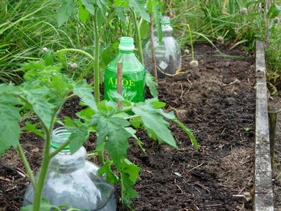 Bouteille d'irrigation goutte à goutte - Provident Living (chargeur goutte à goutte usine comment faire) Bouteille d'irrigation goutte à goutte - Provident Living