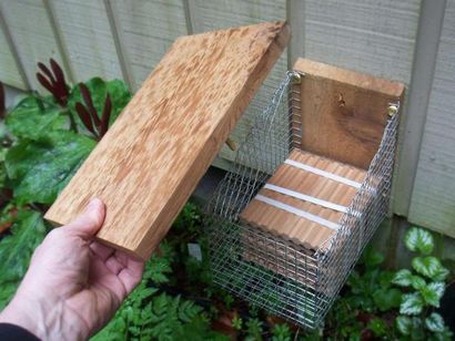 Build Your Own Mason Bee House (votre) Build Your Own Mason Bee Maison
