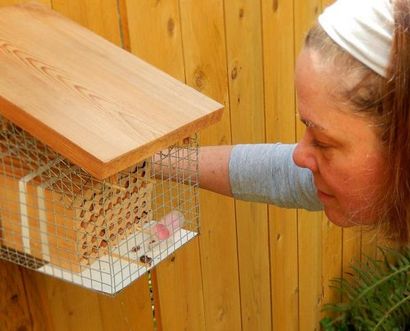 Build Your Own Mason Bee House (maison) Build Your Own Mason Bee Maison