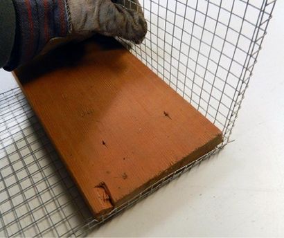 Build Your Own Mason Bee House (maison) Build Your Own Mason Bee Maison