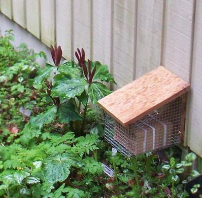 Build Your Own Mason Bee House (maison) Build Your Own Mason Bee Maison