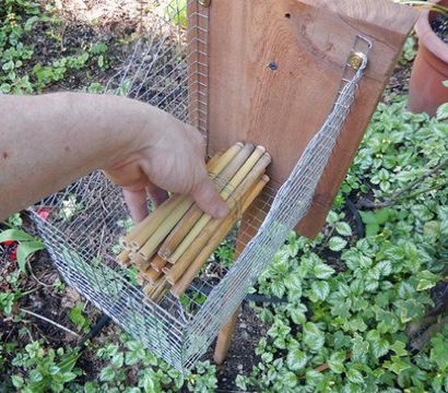 Build Your Own Mason Bee House (maison) Build Your Own Mason Bee Maison