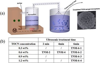 Cellulose nanofibrilles base aérogel microréacteurs Un __gVirt_NP_NN_NNPS<__ rendement élevé et facile Recouvrable W (comment faire aérogel de cellulose) Cellulose nanofibrilles microréacteurs à base aérogel un rendement élevé et facile Recouvrable W