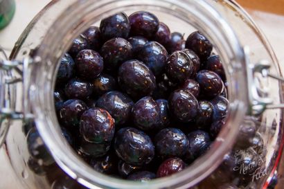 Quetsches pas seulement pour le gin (juste) Quetsches non seulement pour le gin