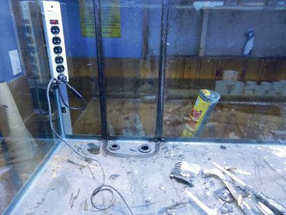 Conception et construction vivarium (vivarium construit) Conception et construction vivarium
