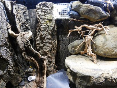 Conception et construction vivarium (bâtiment) Conception et construction vivarium