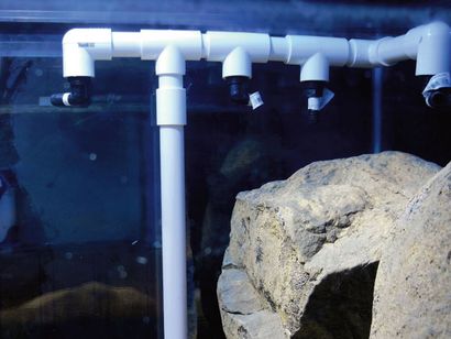 Conception et construction vivarium (vivarium construit) Conception et construction vivarium