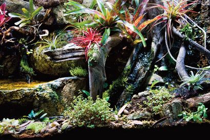 Conception et construction vivarium (conception) Conception et construction vivarium