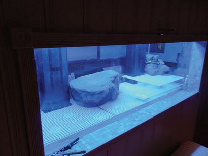 Conception et construction vivarium (vivarium) Conception et construction vivarium