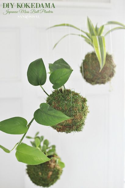 Bricolage KOKEDAMA - Moss japonais Boule Planters - Sable et Sisal (sable) Bricolage KOKEDAMA - Moss japonais Boule Planters - Sable et Sisal