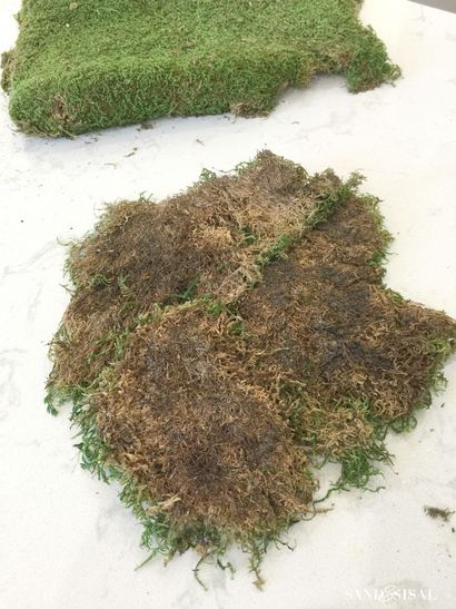 Bricolage KOKEDAMA - Moss japonais Boule Planters - Sable et Sisal (KOKEDAMA) Bricolage KOKEDAMA - Moss japonais Boule Planters - Sable et Sisal