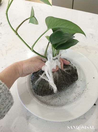 Bricolage KOKEDAMA - Moss japonais Boule Planters - Sable et Sisal (comment faire boule de KOKEDAMA-mousse) Bricolage KOKEDAMA - Moss japonais Boule Planters - Sable et Sisal