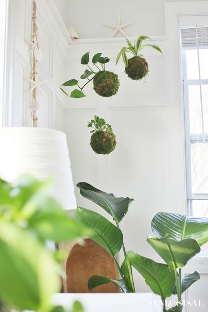 Bricolage KOKEDAMA - Moss japonais Boule Planters - sable et Sisal (japonais) Bricolage KOKEDAMA - Moss japonais Boule Planters - Sable et Sisal