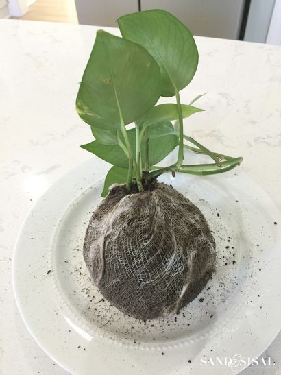 Bricolage KOKEDAMA - Moss japonais Boule Planters - sable et Sisal (japonais) Bricolage KOKEDAMA - Moss japonais Boule Planters - Sable et Sisal