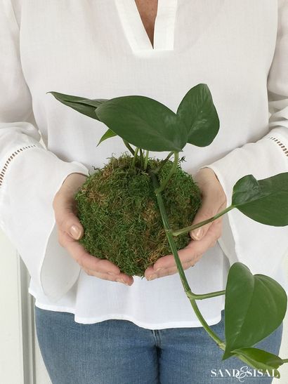 Bricolage KOKEDAMA - Moss japonais Boule Planters - Sable et Sisal (planteurs) Bricolage KOKEDAMA - Moss japonais Boule Planters - Sable et Sisal