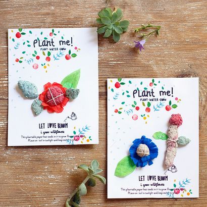 Papier bricolage semences Cartes plantable, main Charlotte (graine) Papier bricolage semences Cartes plantable, main Charlotte