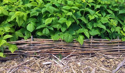Bricolage Jardin tissé Bordures - Verts Lovely (comment faire bordures de jardin en bambou) Bricolage Jardin tissé Bordures - Verts Beau