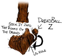 Guide d'entretien des Dreadlocks (FAQ) Dreadlocks guide d'entretien