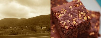 Brownies au chocolat sans oeufs - DivineTaste (divinetaste) Brownies au chocolat sans oeufs - DivineTaste